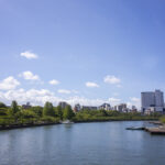 大阪市都島のひょうたん池に蓮の花を撮りに行ってきた