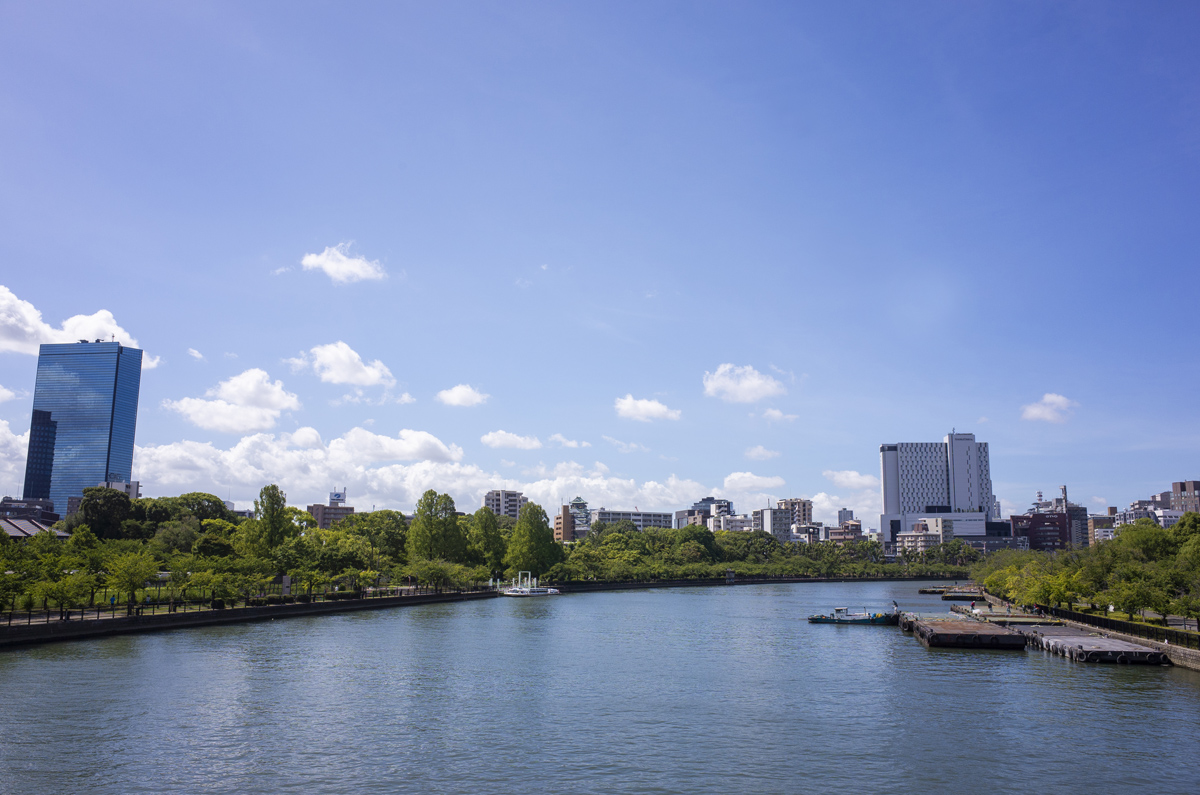 大阪市都島のひょうたん池に蓮の花を撮りに行ってきた