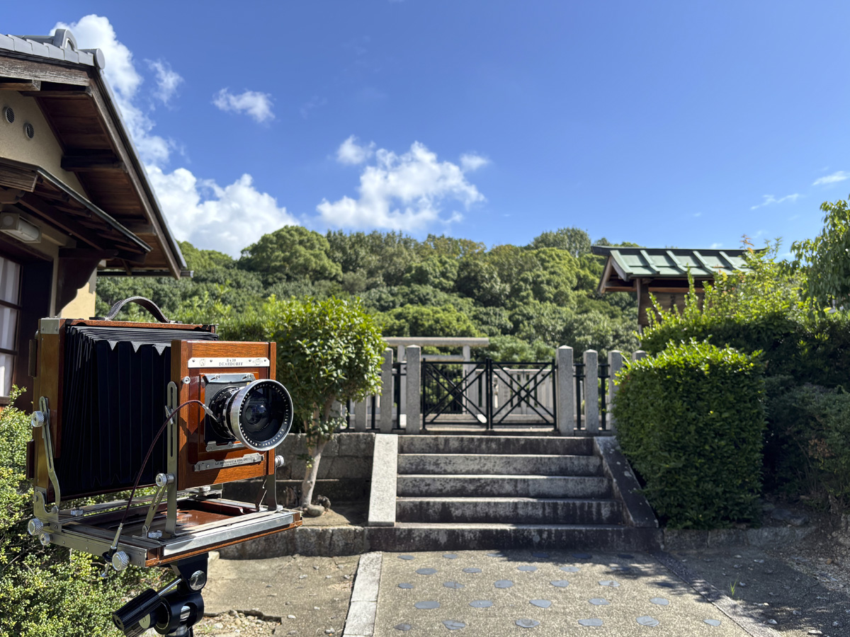 応神天皇皇后の仲姫命の御陵とされる仲津山陵に行ってきた