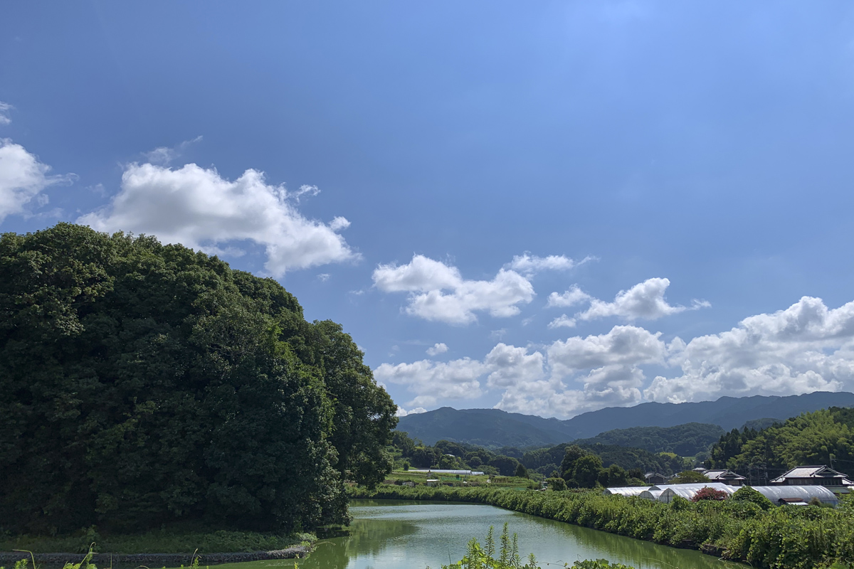 第二十九代天皇 欽明天皇の御陵である檜隈坂合陵に行ってきた