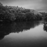 MPP Microcord Mk2を持って錦織公園に行き写真撮影をしてきた