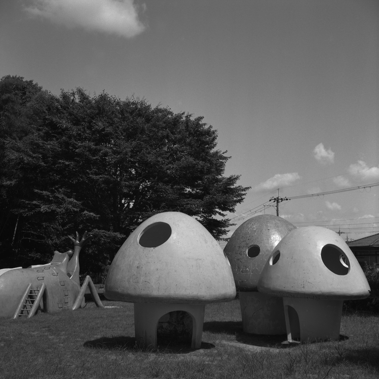 白橿近隣公園の遊具