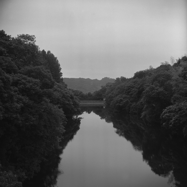 錦織公園の風景2