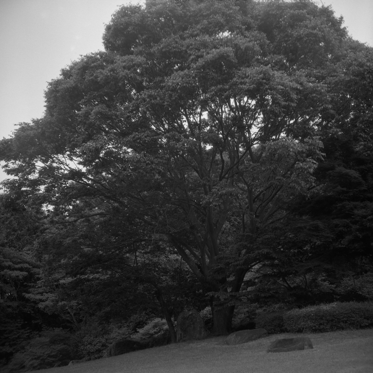錦織公園の風景3