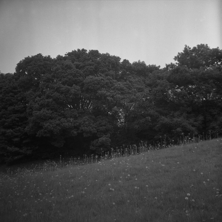 錦織公園の風景4