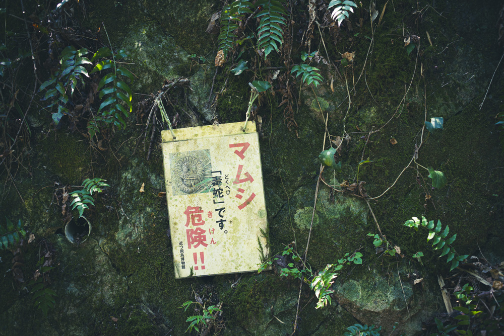 マムシ注意