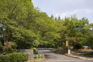 大阪府河南町の近つ飛鳥風土記の丘に行って写真を撮ってきた