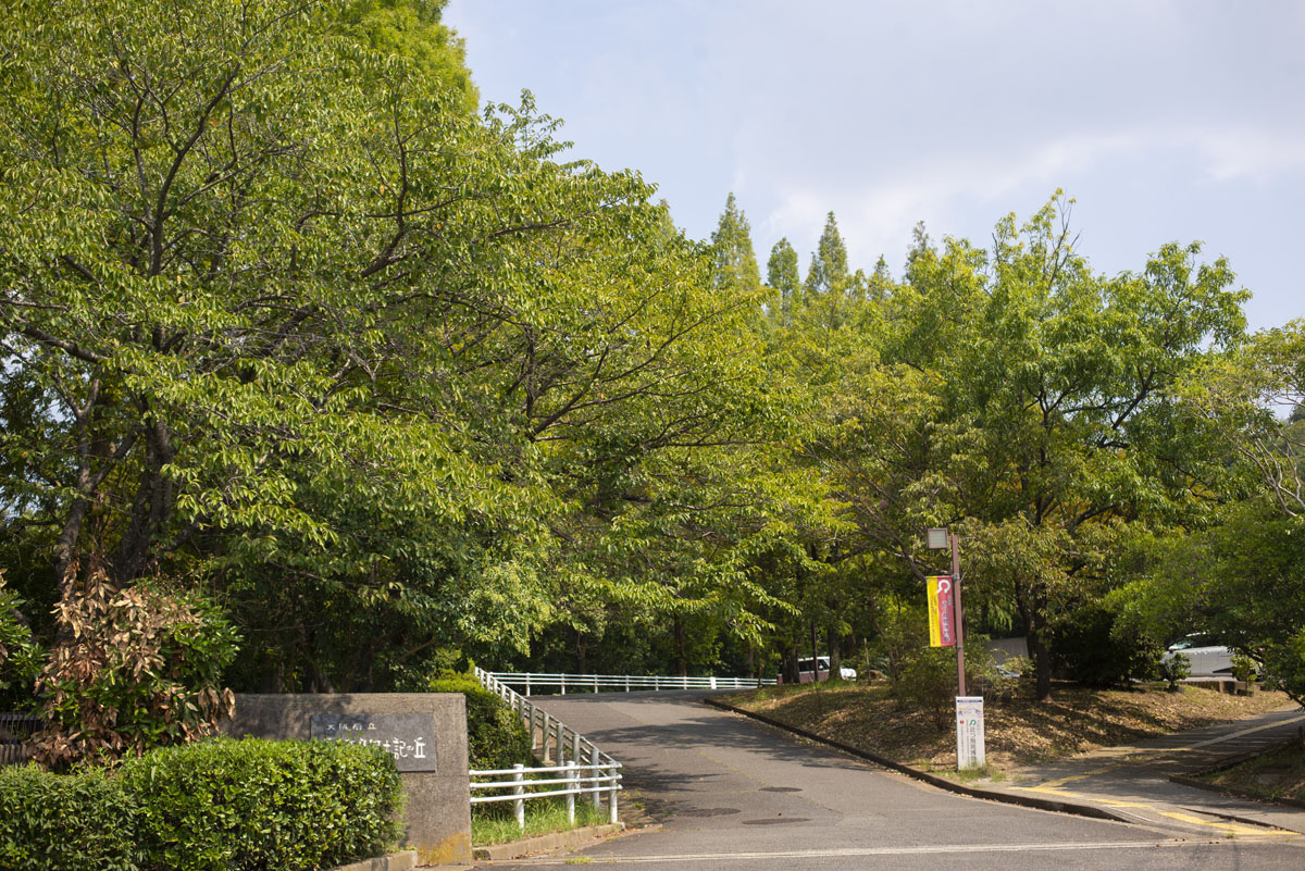 大阪府河南町の近つ飛鳥風土記の丘に行って写真を撮ってきた