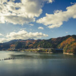大阪府河内長野市の滝畑ダムに行き落葉広葉樹を撮影してきた