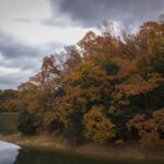 2024年12月16日の一枚（大阪府河内長野市寺ヶ池）