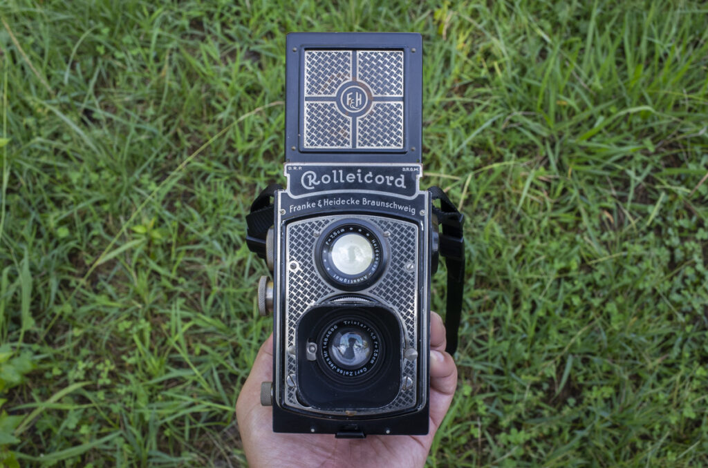 2024年12月19日の二枚（Rolleicord I型 金ピカアールデコ）