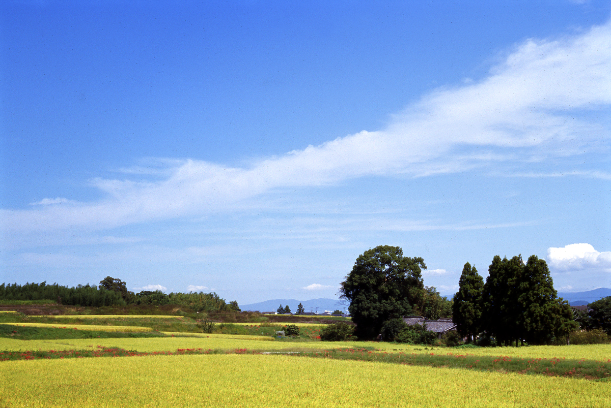 2024年12月17日の一枚（秋ごろの奈良県御所市）