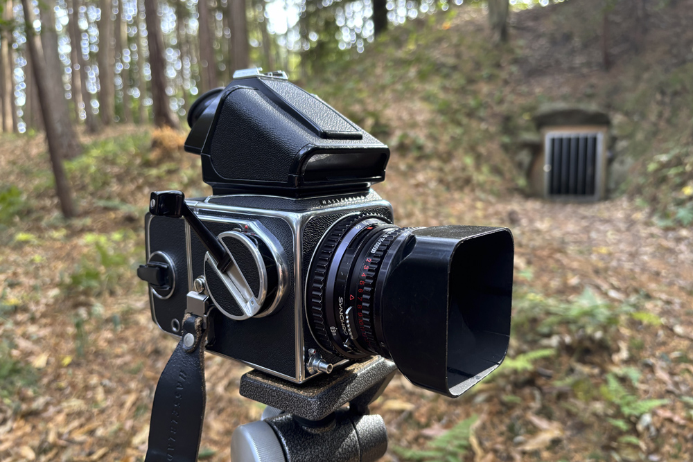 Hasselblad 500C/M