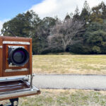 奈良県高市郡明日香村の檜隈寺跡に行って写真を撮ってきた