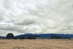 久しぶりに奈良県橿原市の藤原宮跡へ行って写真撮影してきた