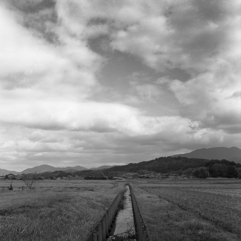 藤原宮の風景1