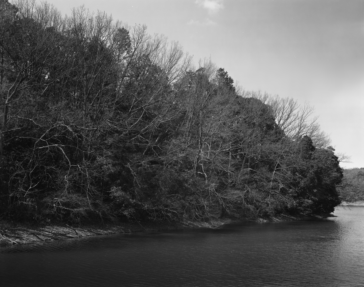 寺ヶ池の風景2