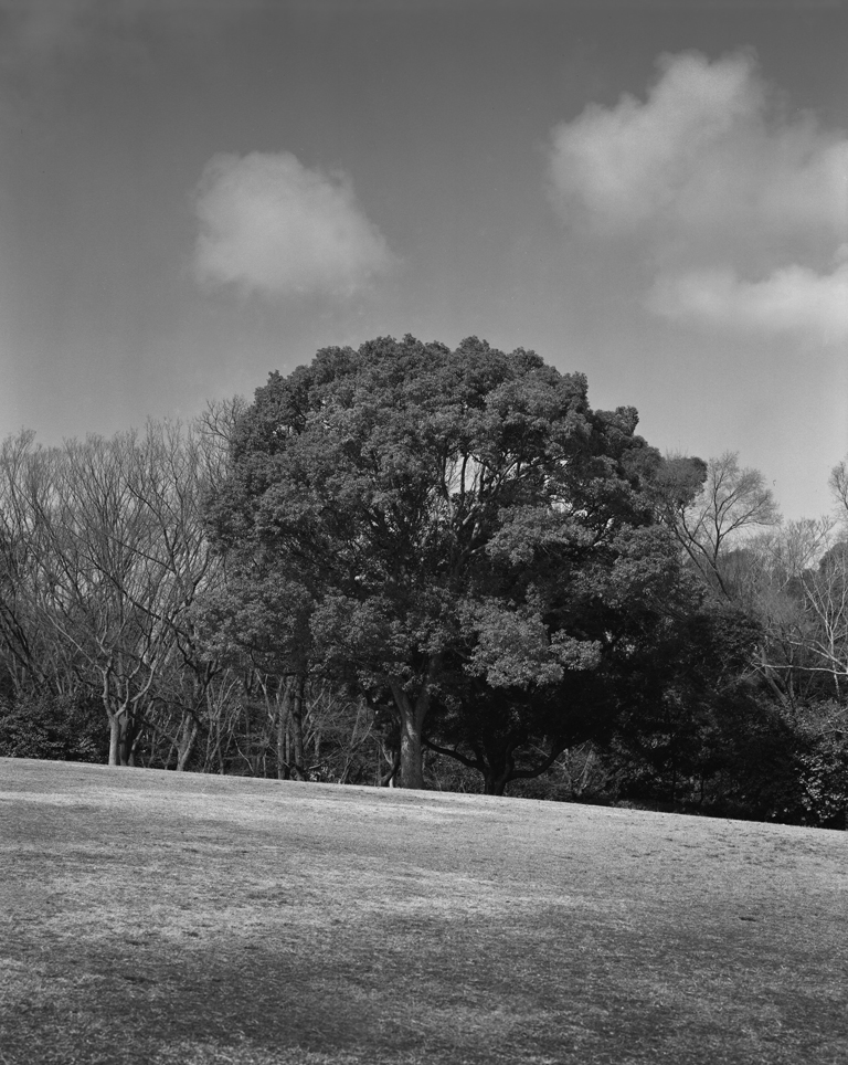 大仙公園の風景2