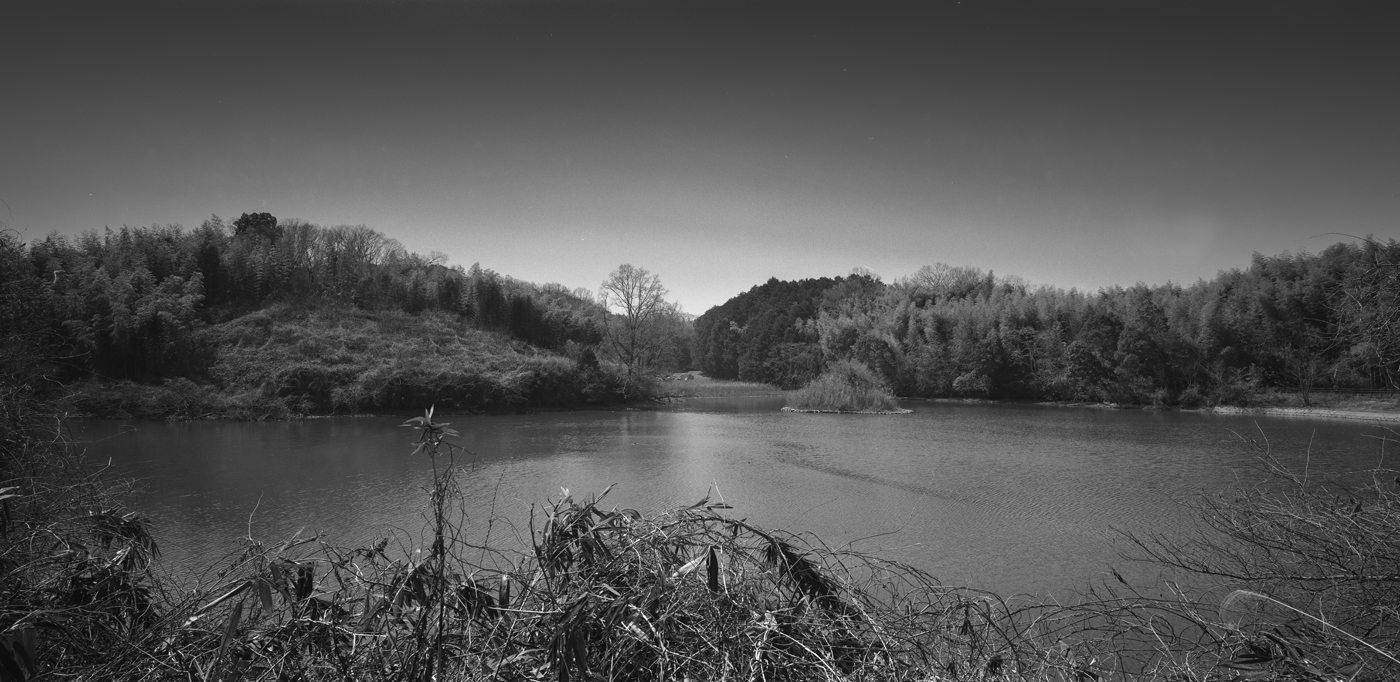 古池の風景1
