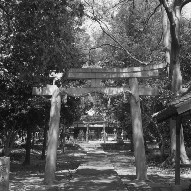 天太玉命神社の参道