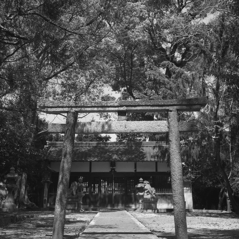天太玉命神社の境内