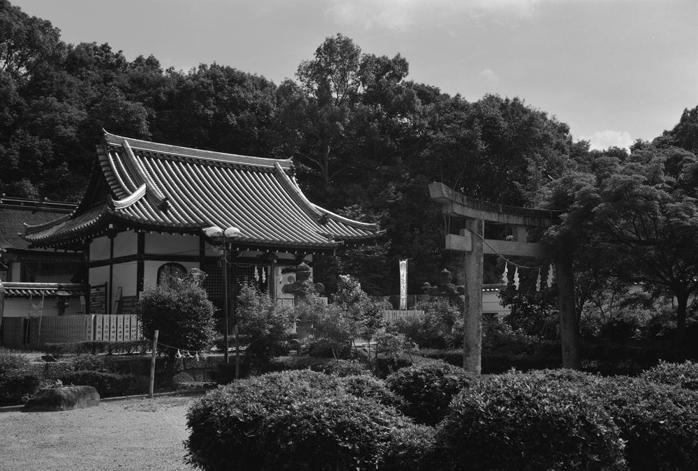 壺井八幡宮の風景4