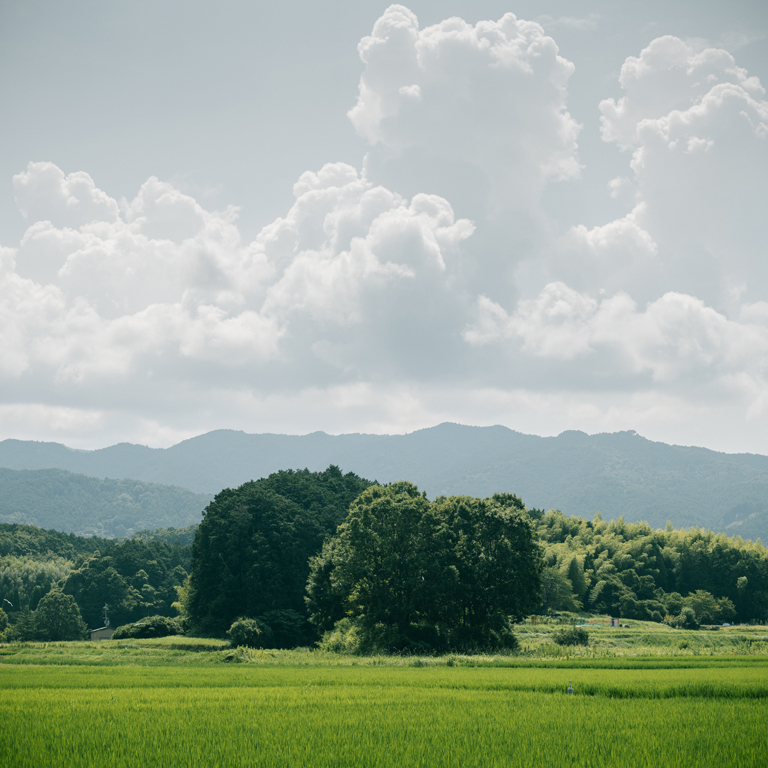 明日香の風景