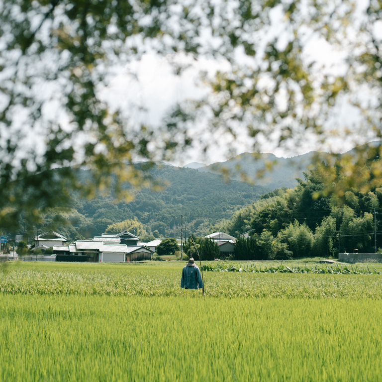明日香の風景3
