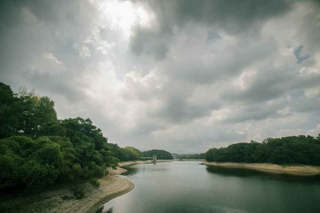 運動のために大阪府河内長野市の寺ヶ池に写真撮影に行ってきた
