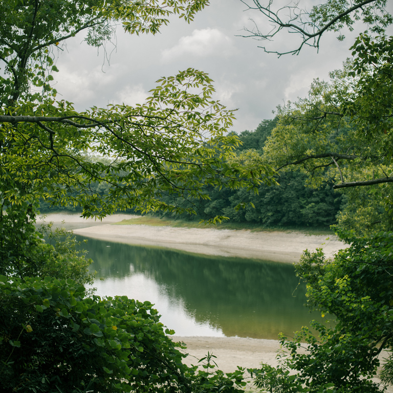 寺ヶ池の風景3