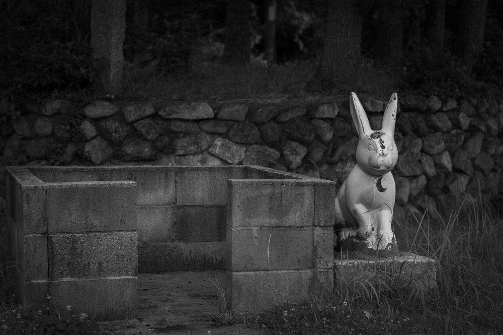 公園内の動物飾り4