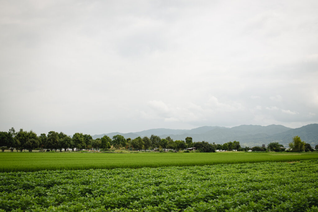 奈良県磯城郡田原本町の唐古・鍵遺跡史跡公園に行ってきた