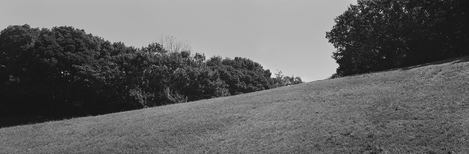 錦織公園の風景3