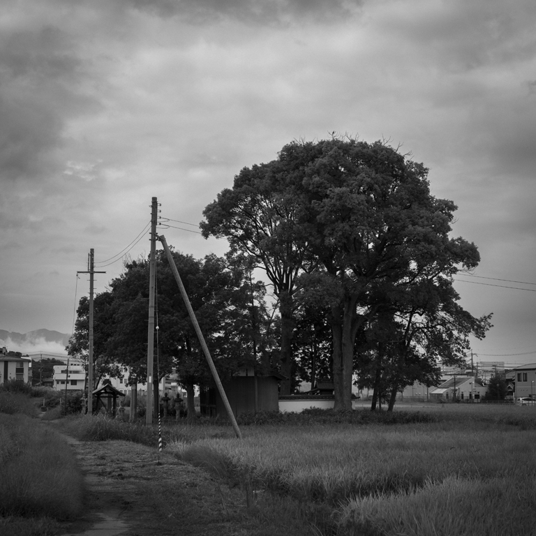 橿原市の田園風景3