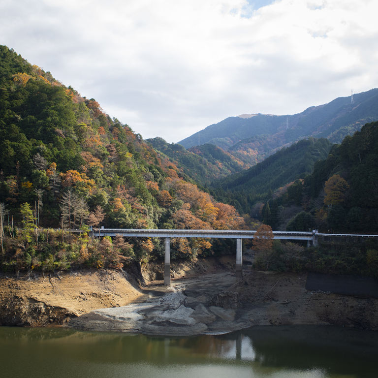 滝畑ダムの紅葉風景1