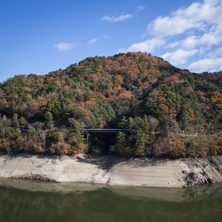 滝畑ダムの紅葉風景2