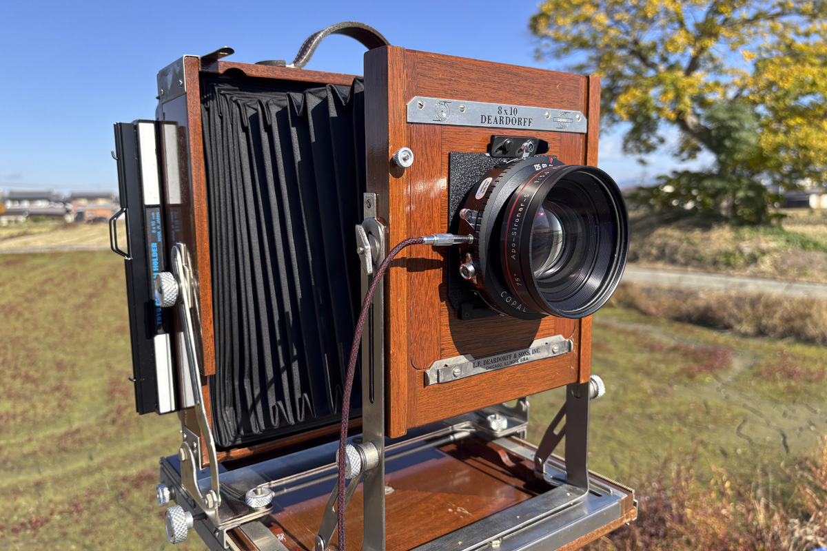 ディアドルフ8x10