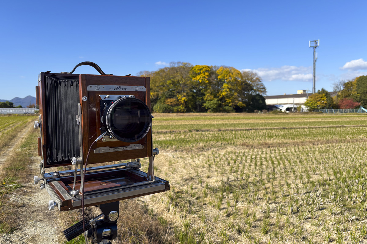 奈良県磯城郡田原本町の森に囲まれた皇子神命神社に行ってきた