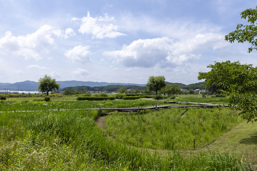 備中高松城の風景1
