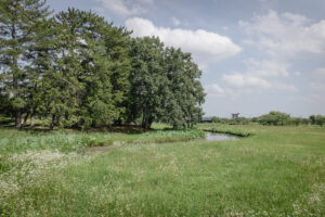 羽柴秀吉の水攻め戦術で有名な岡山の備中高松城跡に行ってきた